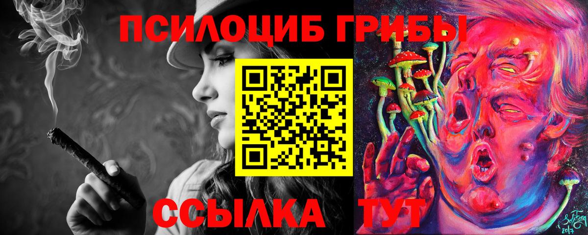 Псилоцибиновые грибы Cubensis  Вход с VPN  Салават 